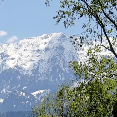 Panoramahaus Hopfner Naehe Zugspitze Und Eibsee ガルミッシュ・パルテンキルヒェン エクステリア 写真
